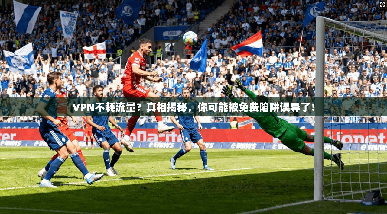 VPN不耗流量？真相揭秘，你可能被免费陷阱误导了！