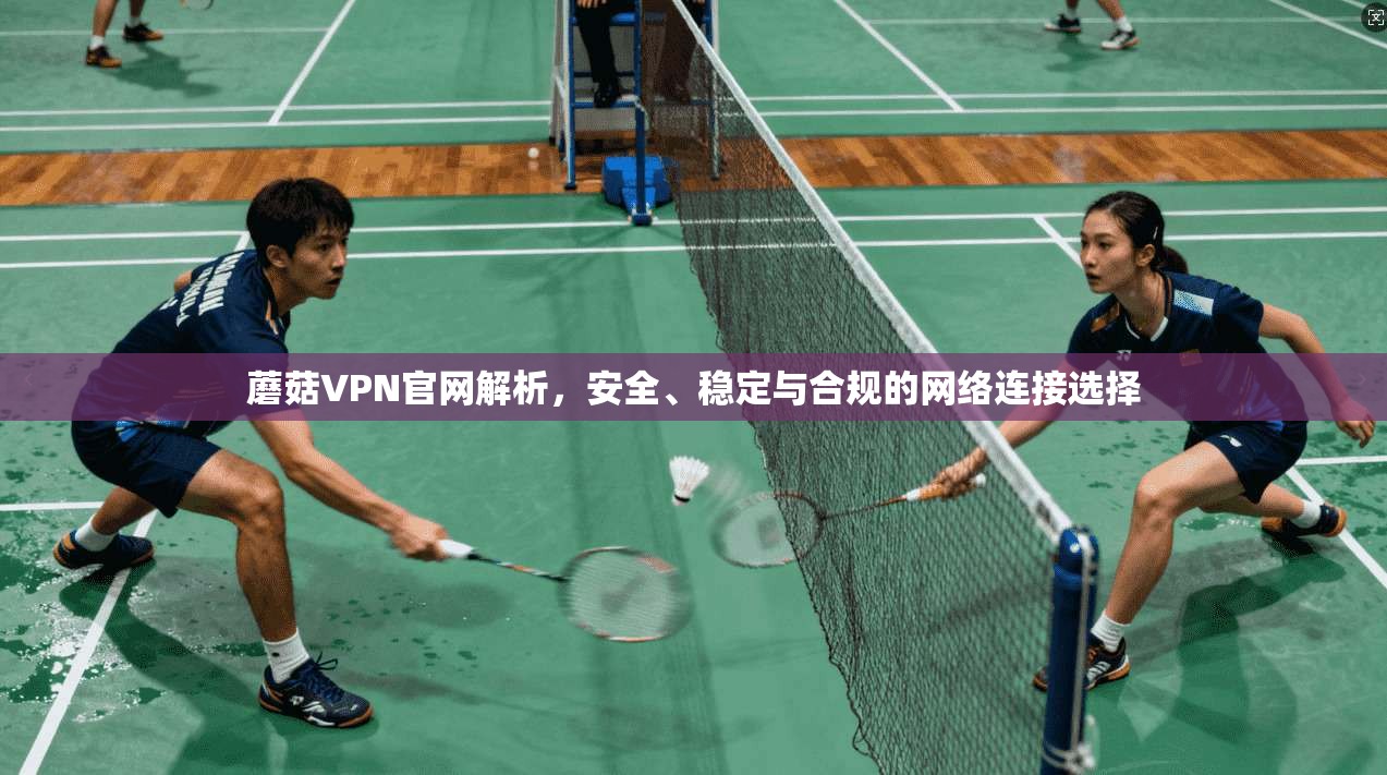 蘑菇VPN官网解析，安全、稳定与合规的网络连接选择