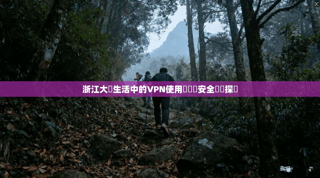 浙江大學生活中的VPN使用與網絡安全風險探討