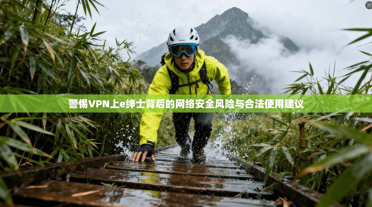 警惕VPN上e绅士背后的网络安全风险与合法使用建议