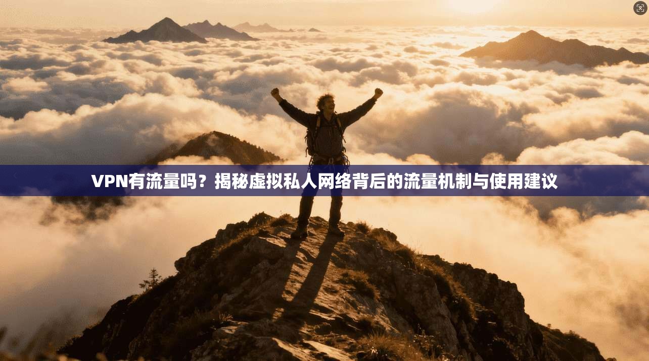 VPN有流量吗?揭秘虚拟私人网络背后的流量机制与使用建议