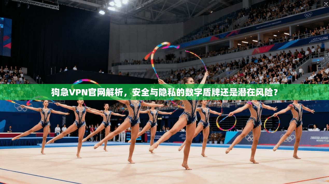 狗急VPN官网解析，安全与隐私的数字盾牌还是潜在风险？
