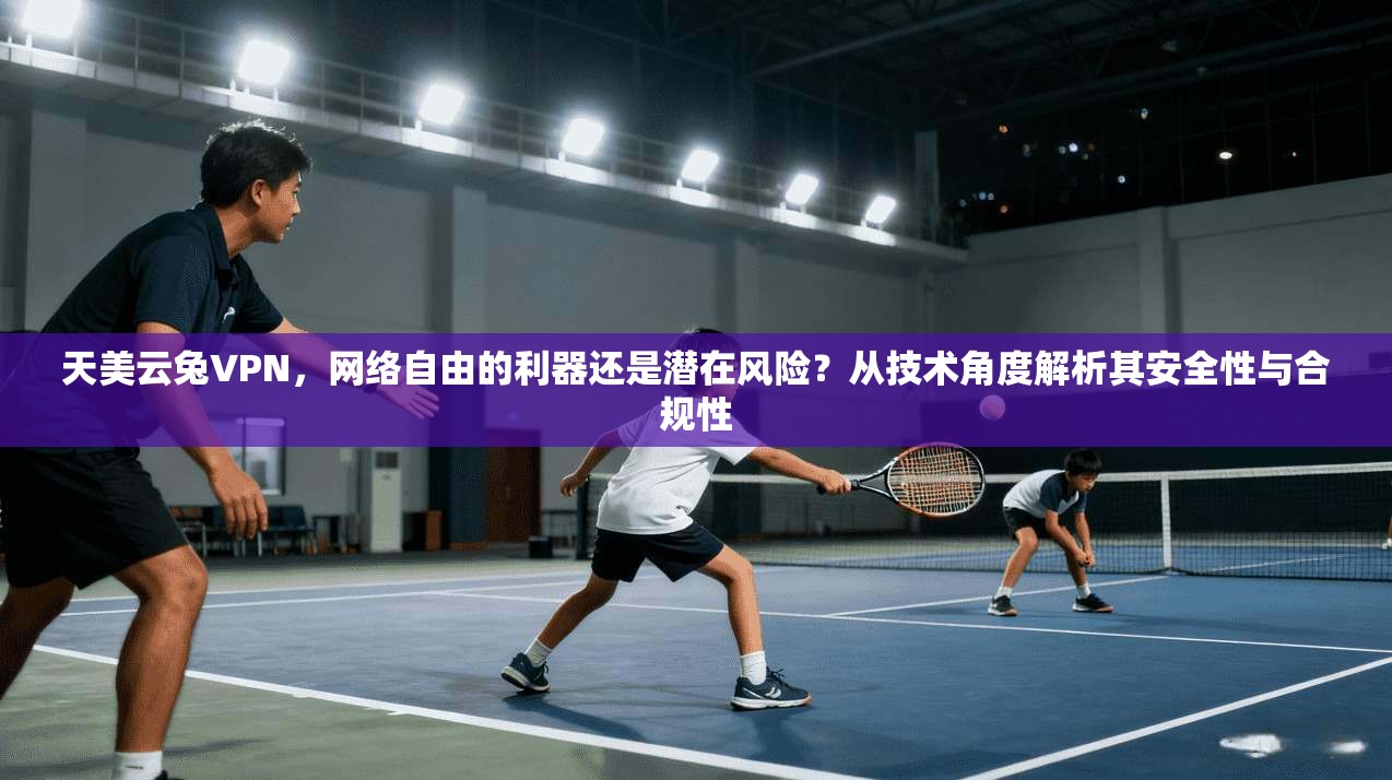 天美云兔VPN，网络自由的利器还是潜在风险？从技术角度解析其安全性与合规性
