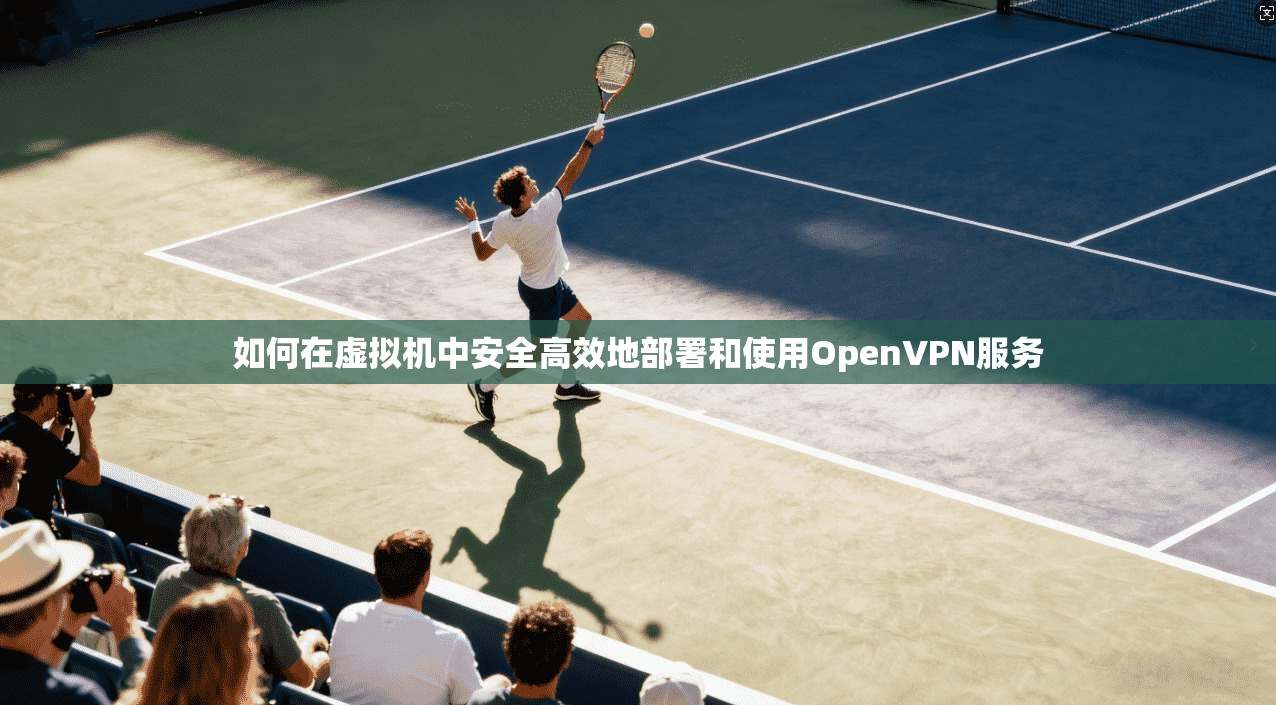 如何在虚拟机中安全高效地部署和使用OpenVPN服务