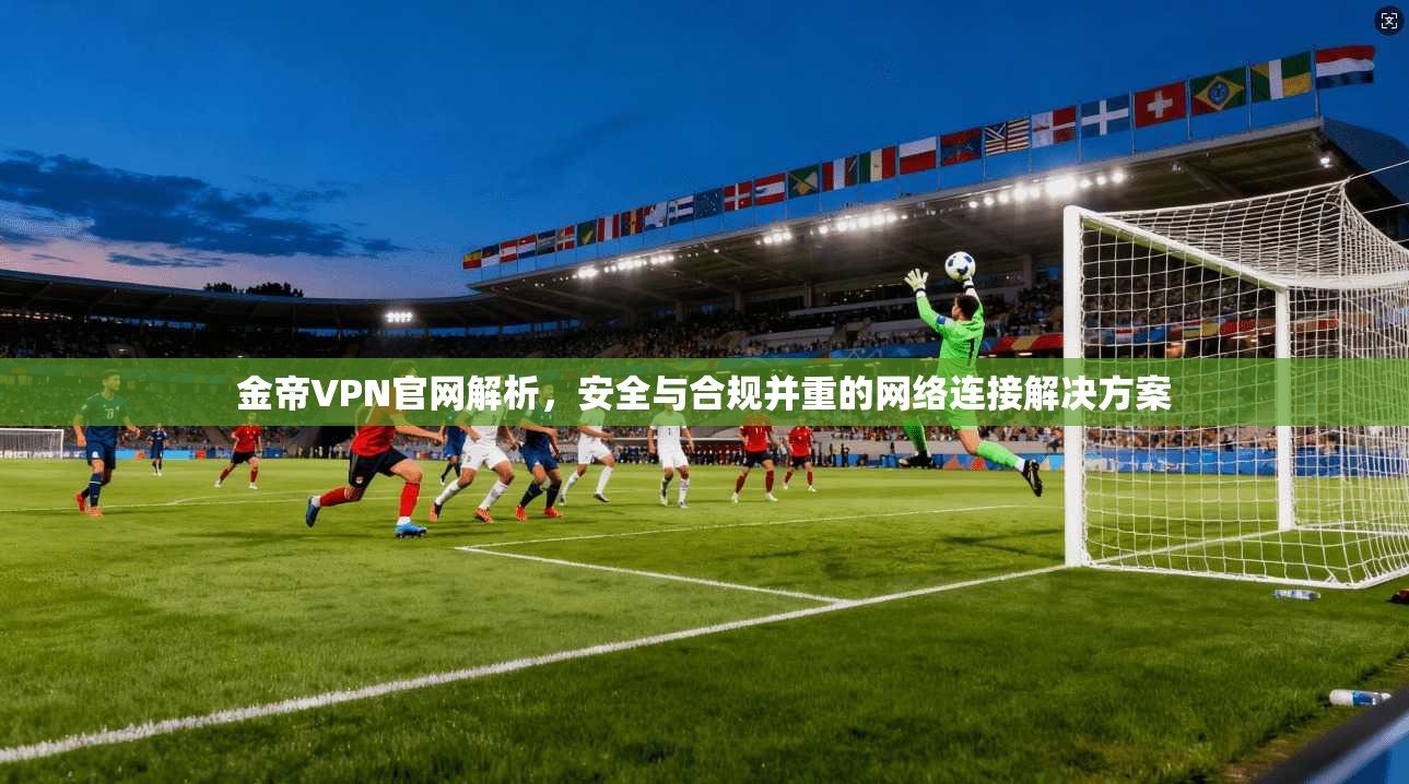 金帝VPN官网解析，安全与合规并重的网络连接解决方案