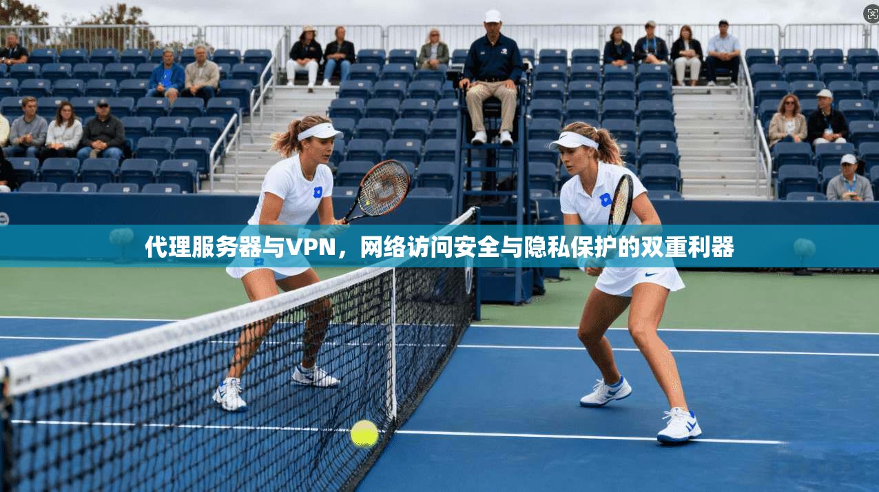 代理服务器与VPN，网络访问安全与隐私保护的双重利器