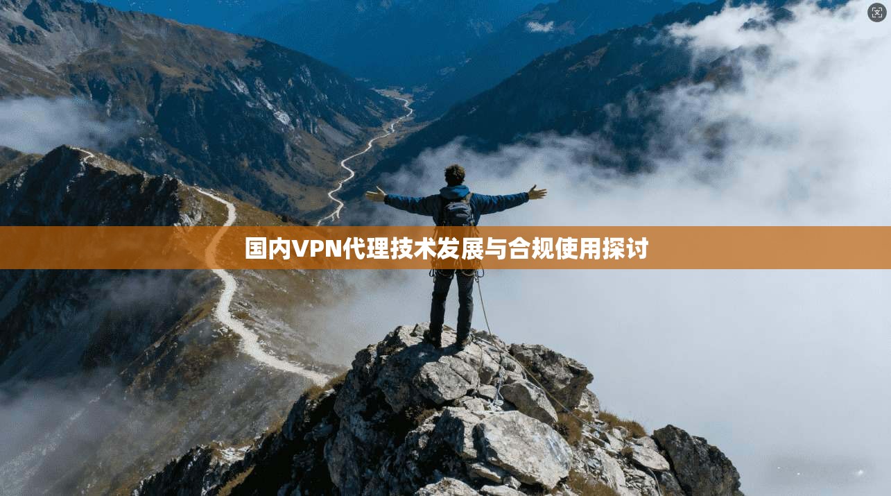 国内VPN代理技术发展与合规使用探讨