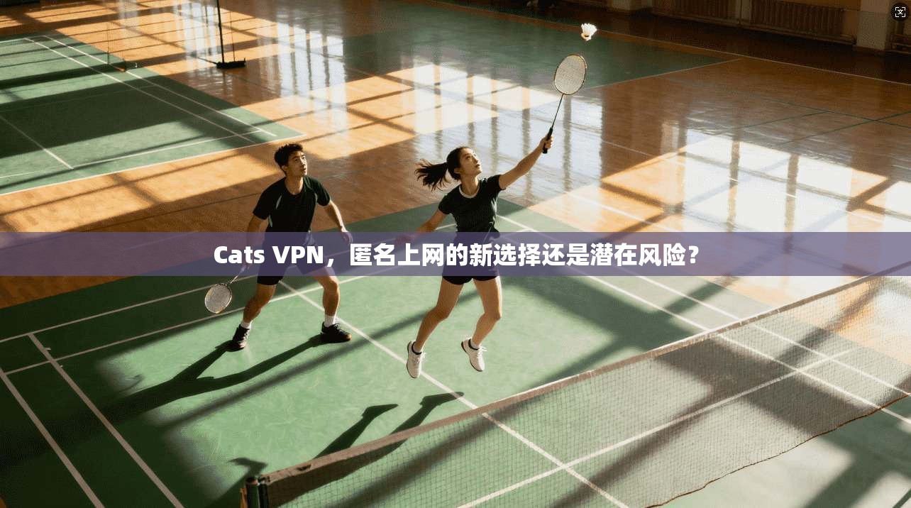 Cats VPN,匿名上网的新选择还是潜在风险?