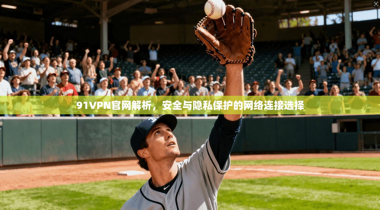 91VPN官网解析，安全与隐私保护的网络连接选择