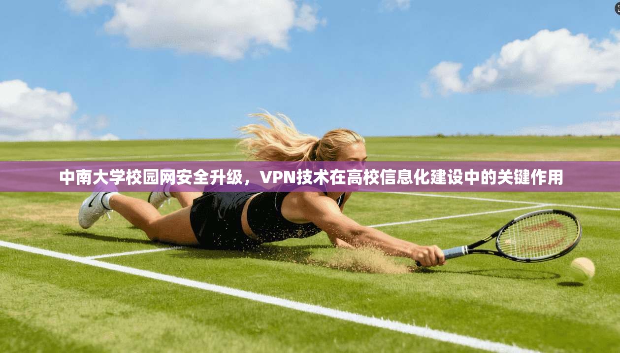 中南大学校园网安全升级，VPN技术在高校信息化建设中的关键作用