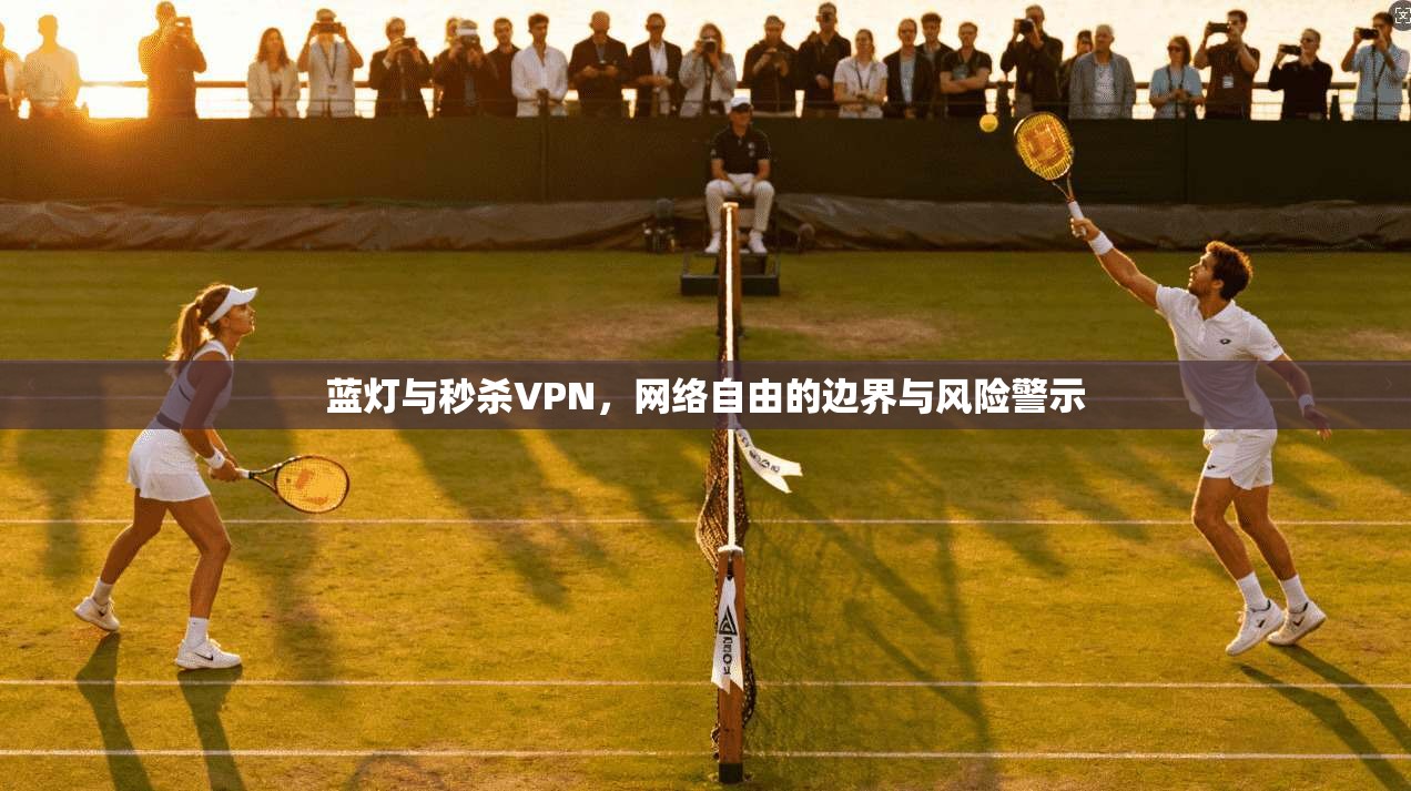 蓝灯与秒杀VPN，网络自由的边界与风险警示