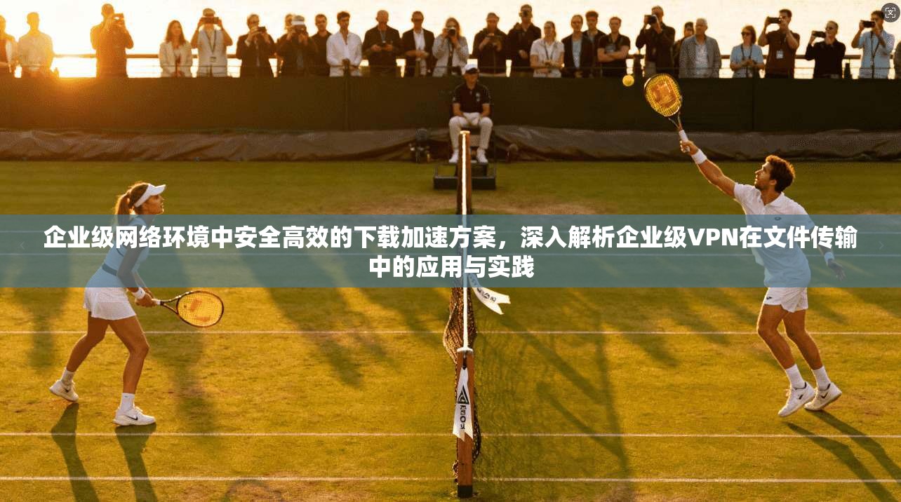 企业级网络环境中安全高效的下载加速方案，深入解析企业级VPN在文件传输中的应用与实践