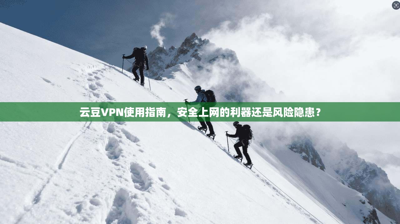 云豆VPN使用指南，安全上网的利器还是风险隐患？