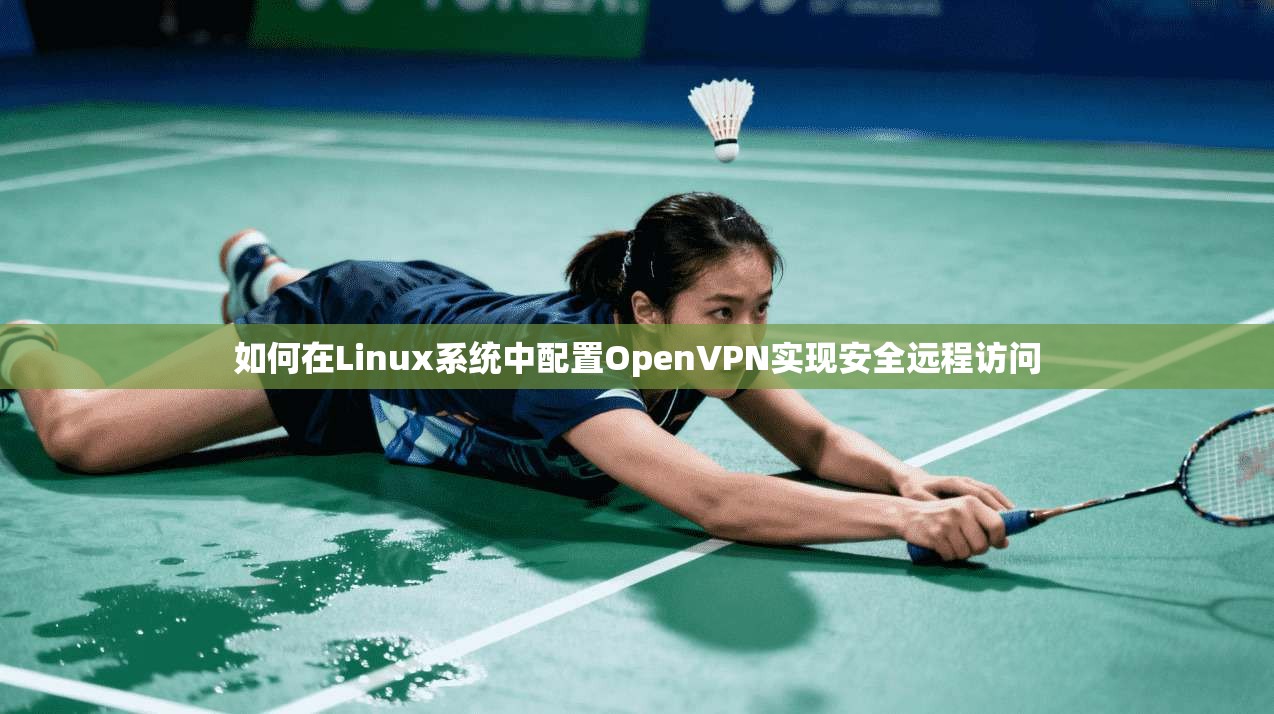 如何在Linux系统中配置OpenVPN实现安全远程访问