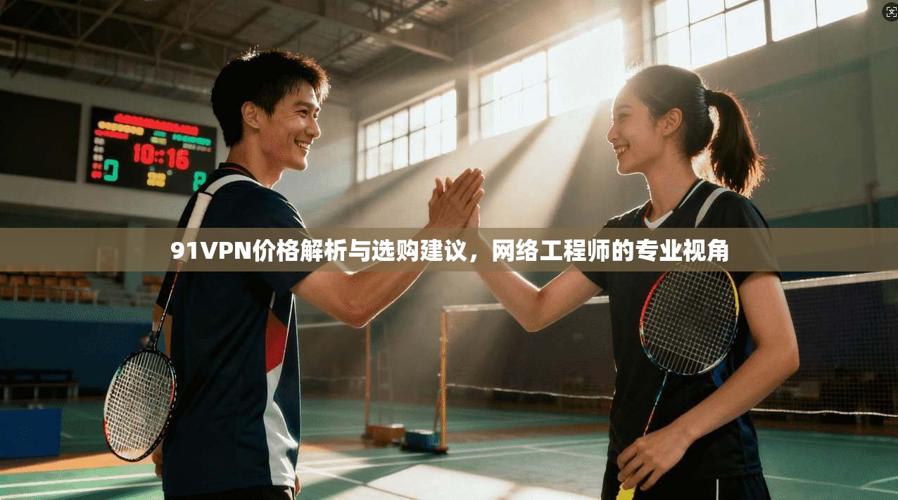91VPN价格解析与选购建议，网络工程师的专业视角