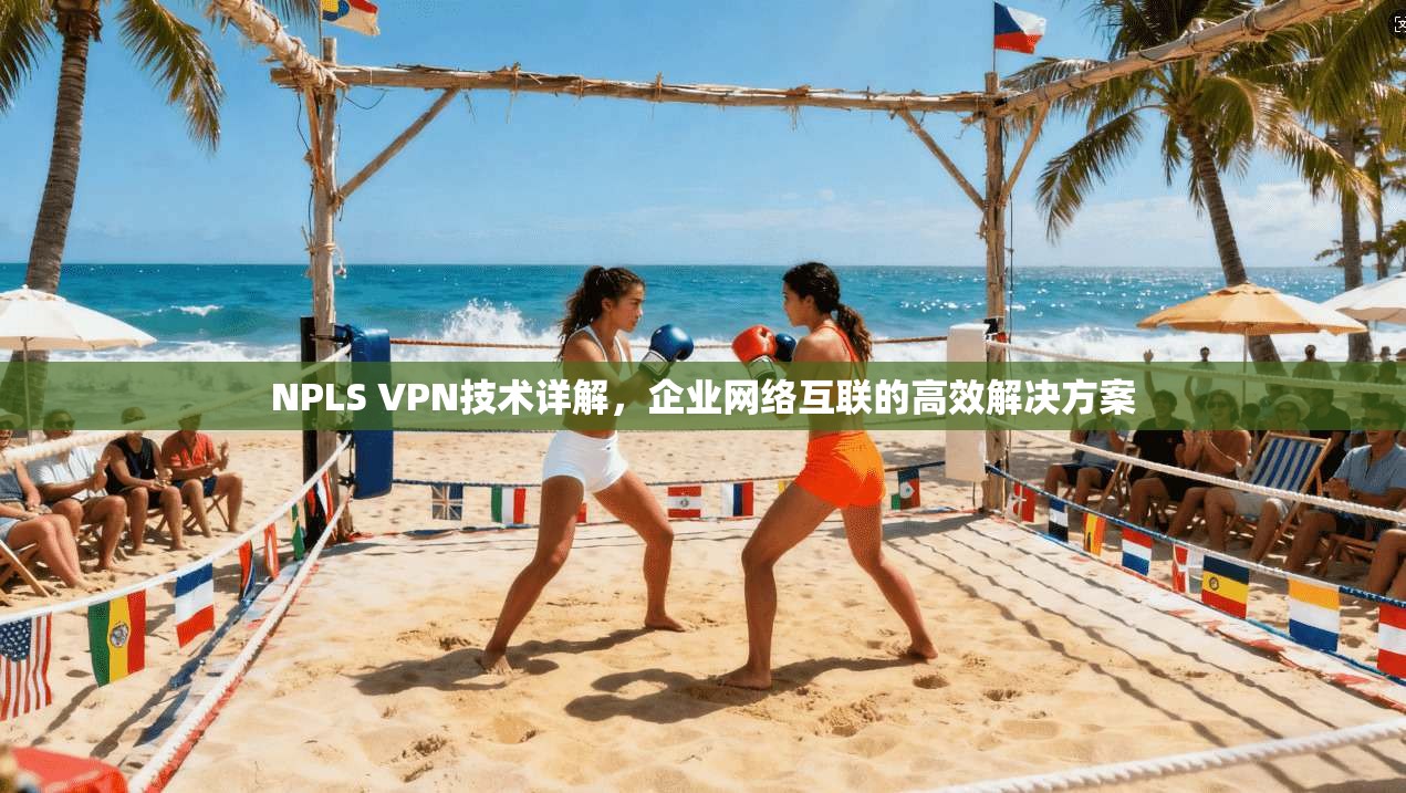 NPLS VPN技术详解，企业网络互联的高效解决方案  第1张