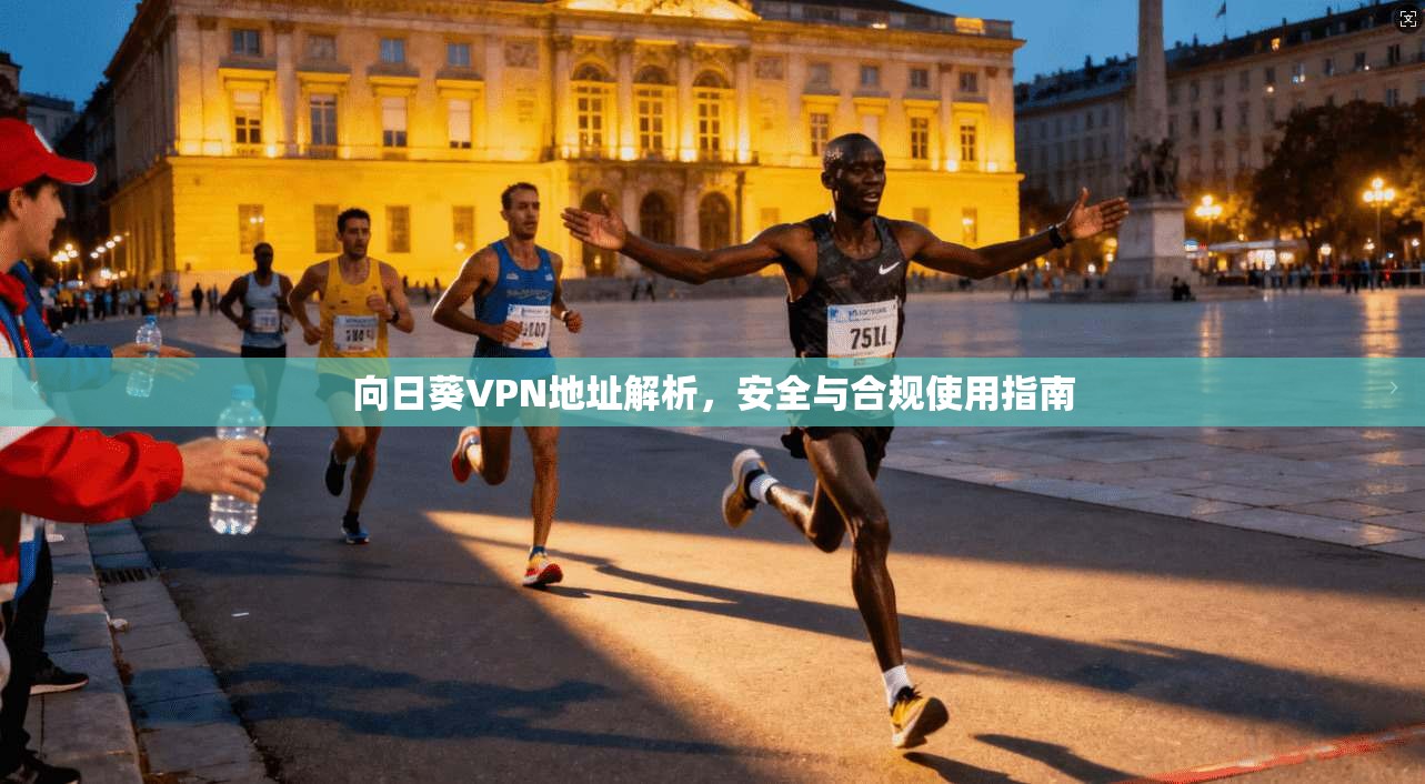 向日葵VPN地址解析，安全与合规使用指南