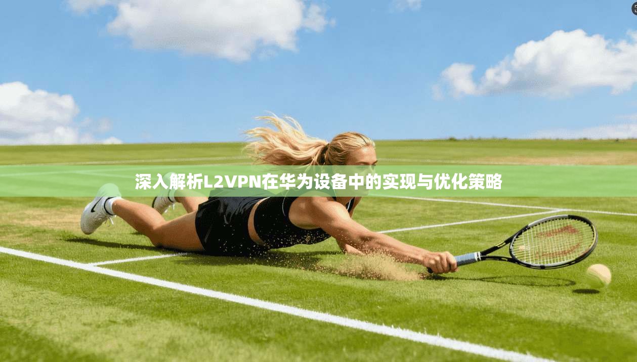 深入解析L2VPN在华为设备中的实现与优化策略