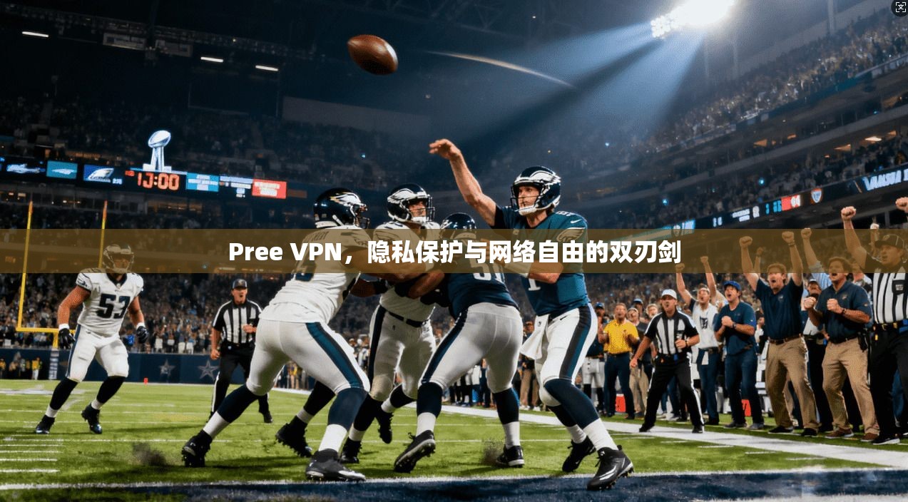 Pree VPN，隐私保护与网络自由的双刃剑