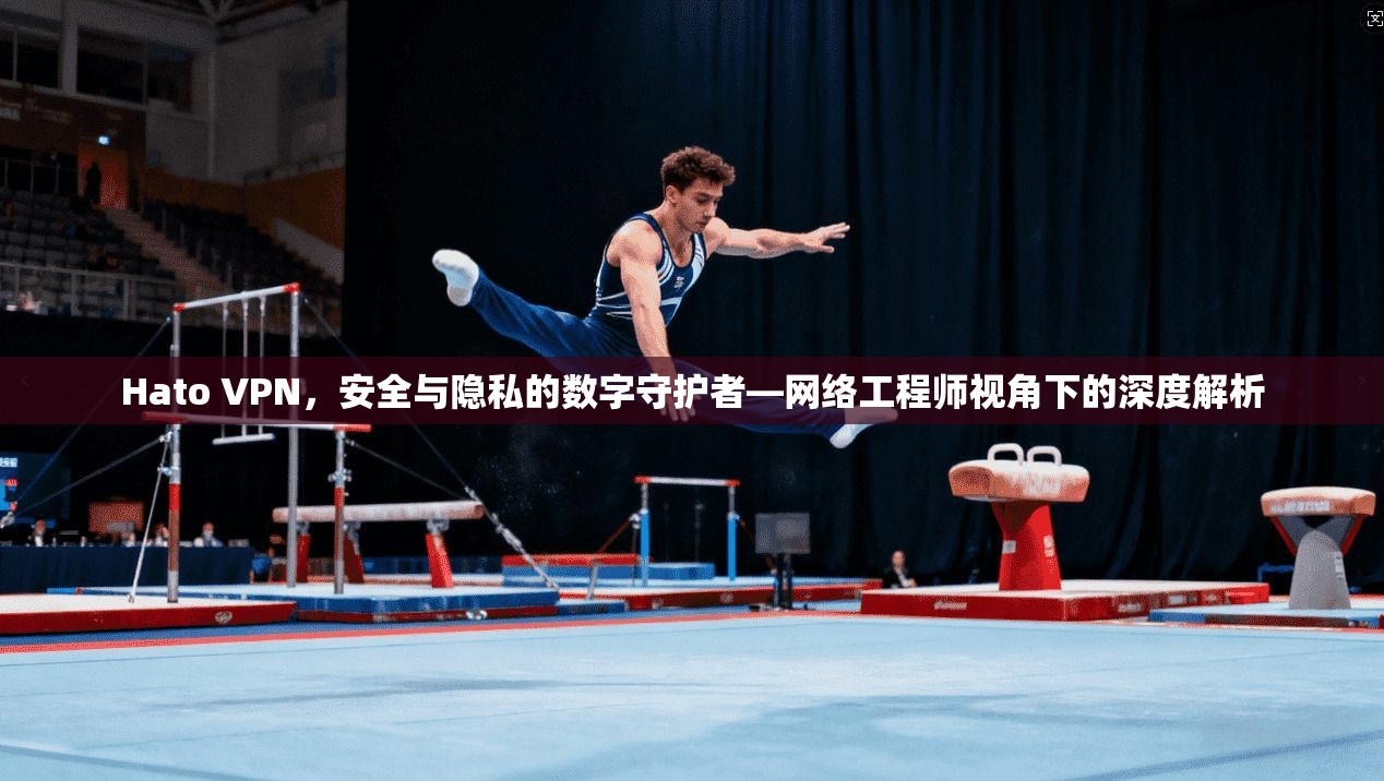 Hato VPN，安全与隐私的数字守护者—网络工程师视角下的深度解析