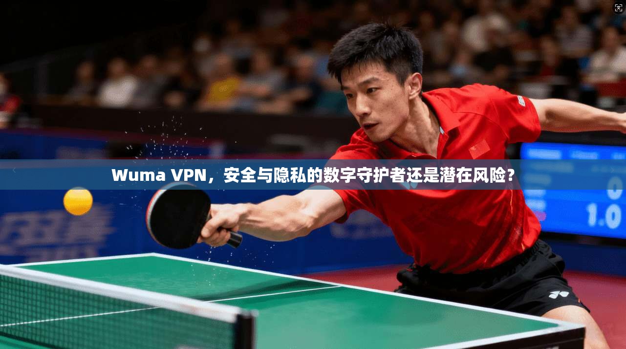 Wuma VPN，安全与隐私的数字守护者还是潜在风险？