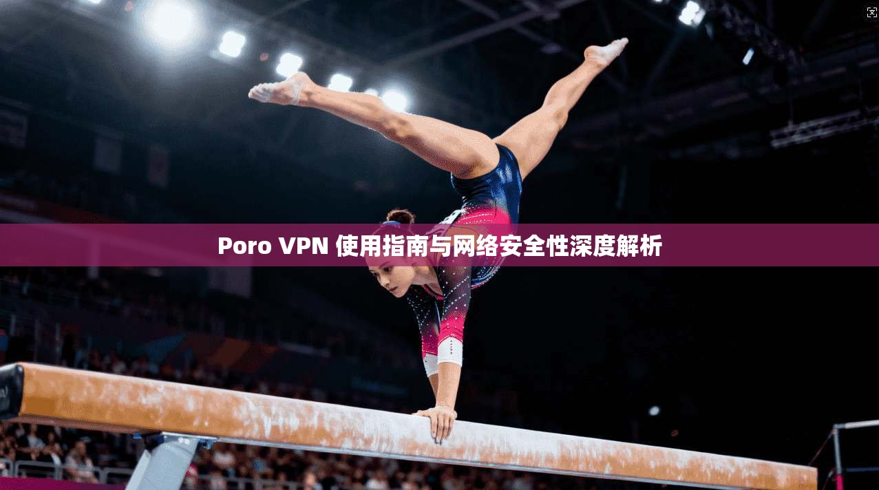 Poro VPN 使用指南与网络安全性深度解析