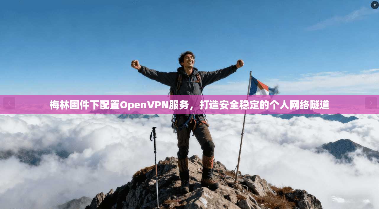 梅林固件下配置OpenVPN服务，打造安全稳定的个人网络隧道