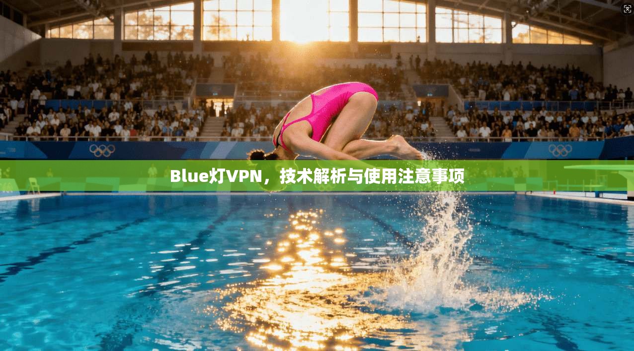 Blue灯VPN，技术解析与使用注意事项  第1张