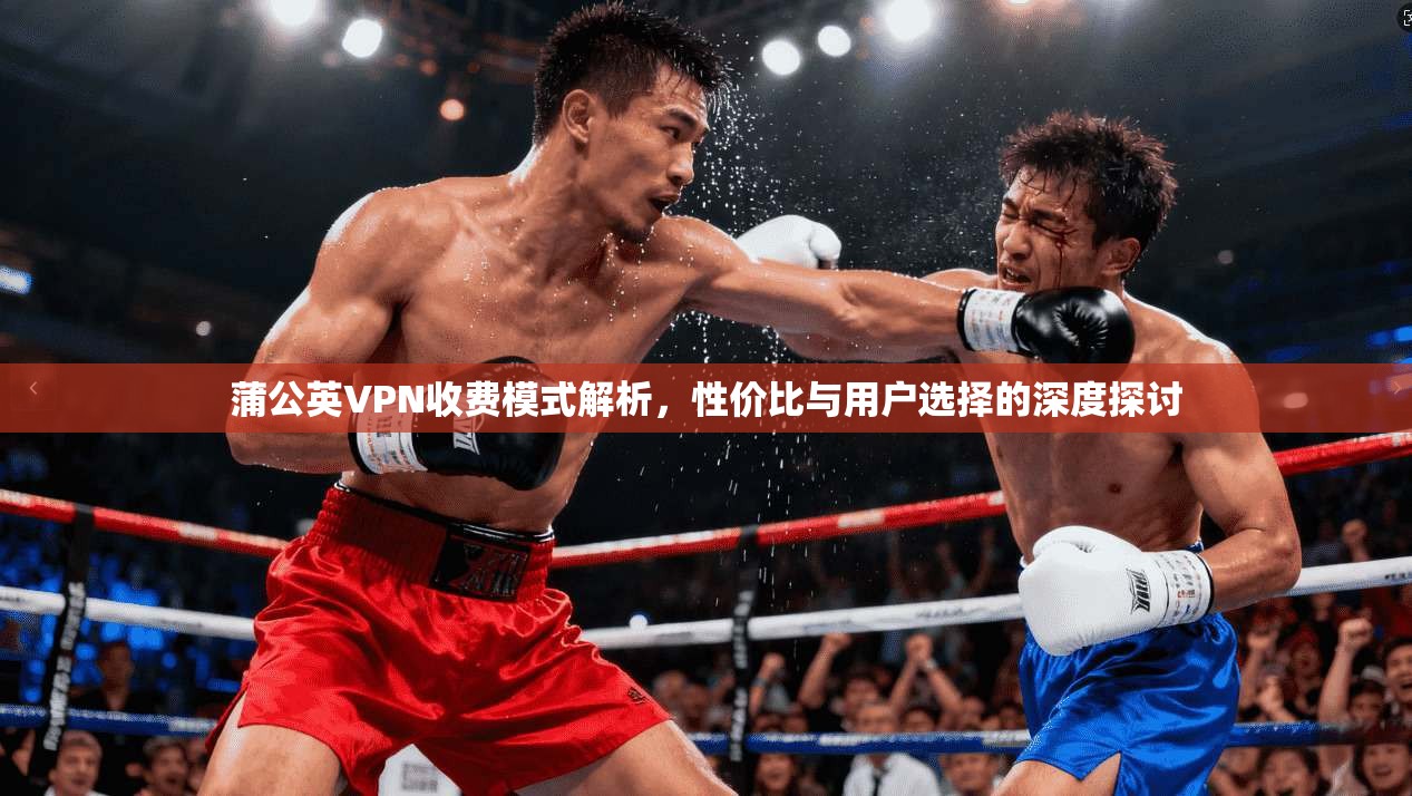 蒲公英VPN收费模式解析，性价比与用户选择的深度探讨