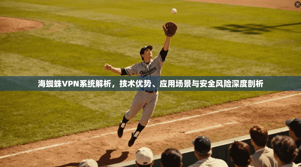 海蜘蛛VPN系统解析，技术优势、应用场景与安全风险深度剖析
