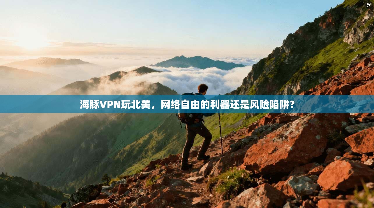 海豚VPN玩北美,网络自由的利器还是风险陷阱?