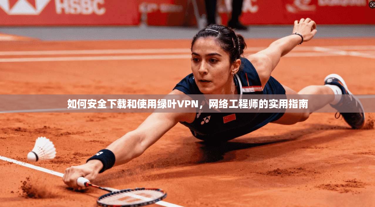 如何安全下载和使用绿叶VPN，网络工程师的实用指南