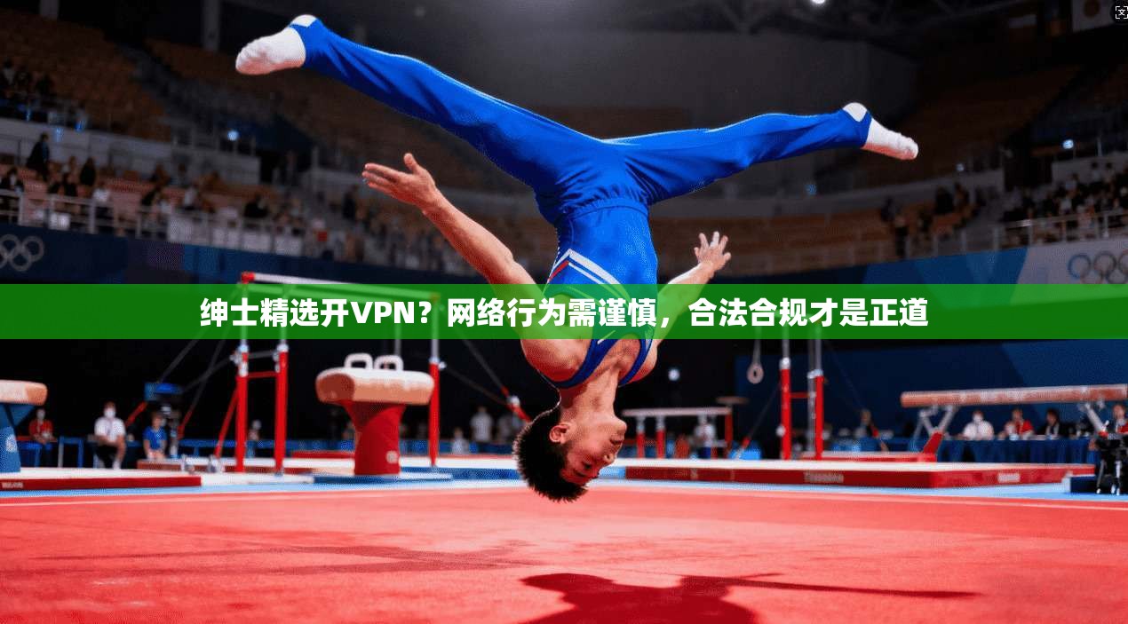绅士精选开VPN？网络行为需谨慎，合法合规才是正道