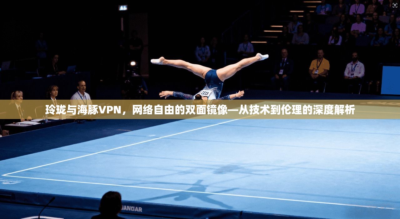 玲珑与海豚VPN，网络自由的双面镜像—从技术到伦理的深度解析