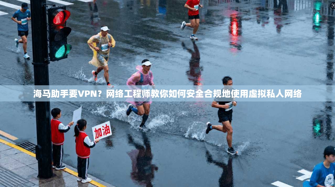 海马助手要VPN？网络工程师教你如何安全合规地使用虚拟私人网络