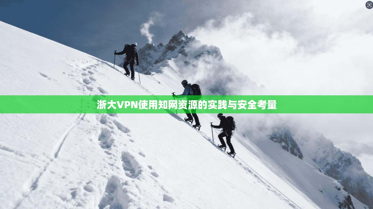 浙大VPN使用知网资源的实践与安全考量