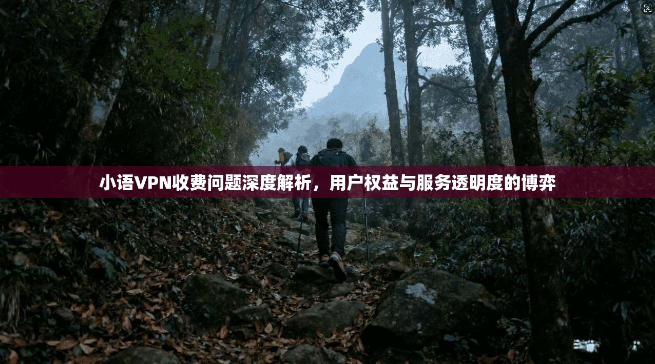 小语VPN收费问题深度解析，用户权益与服务透明度的博弈