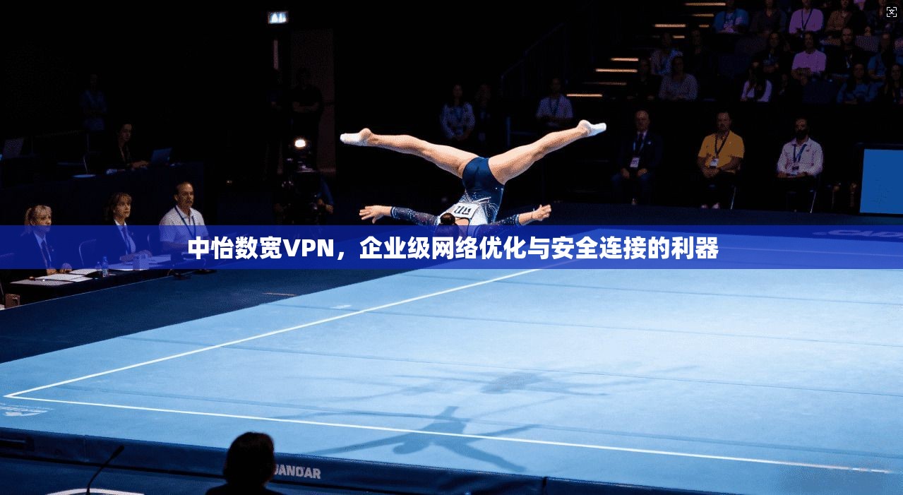 中怡数宽VPN，企业级网络优化与安全连接的利器