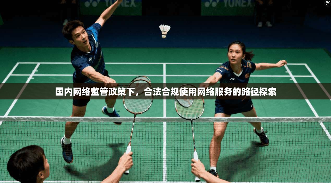 国内网络监管政策下，合法合规使用网络服务的路径探索