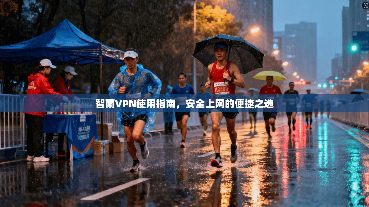 智雨VPN使用指南，安全上网的便捷之选