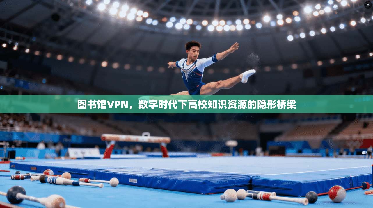 图书馆VPN,数字时代下高校知识资源的隐形桥梁