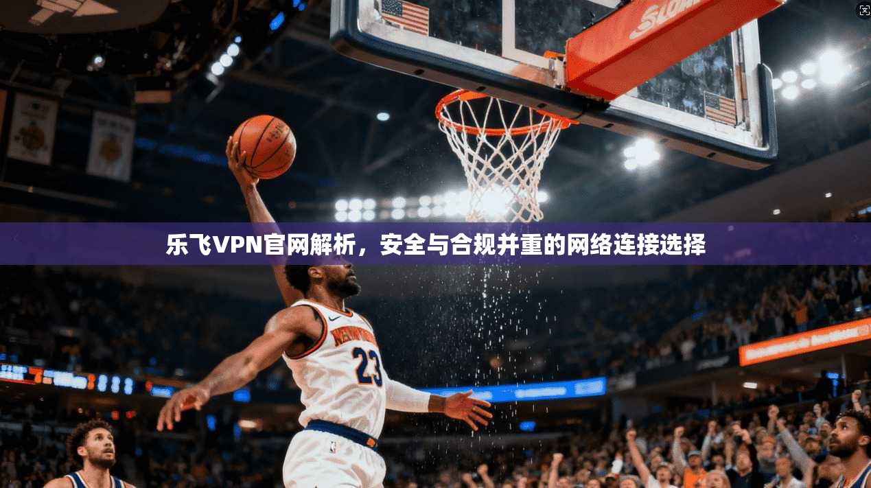 乐飞VPN官网解析，安全与合规并重的网络连接选择