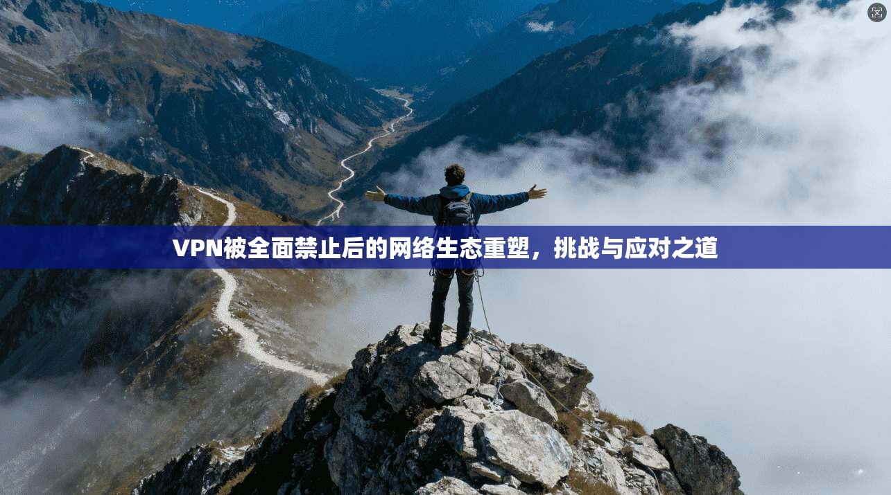 VPN被全面禁止后的网络生态重塑，挑战与应对之道