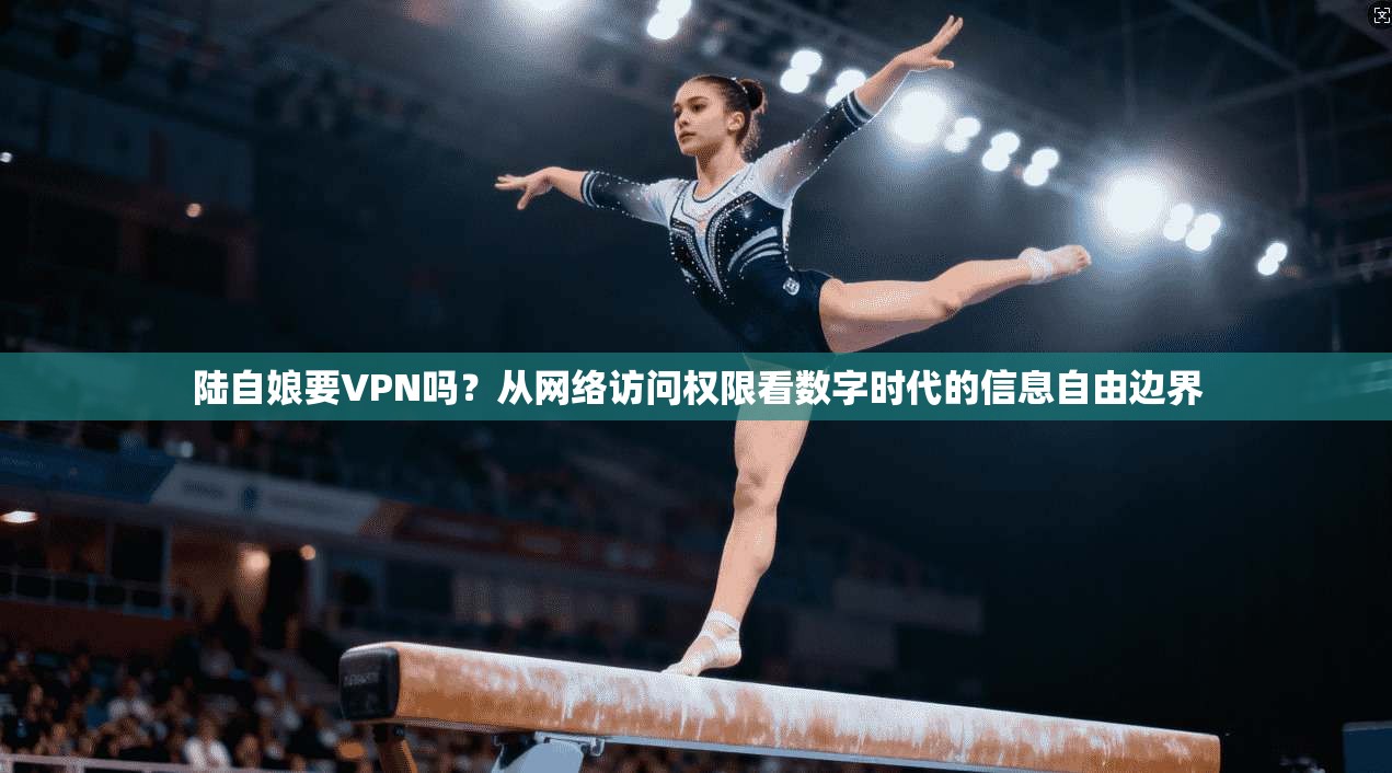 陆自娘要VPN吗？从网络访问权限看数字时代的信息自由边界