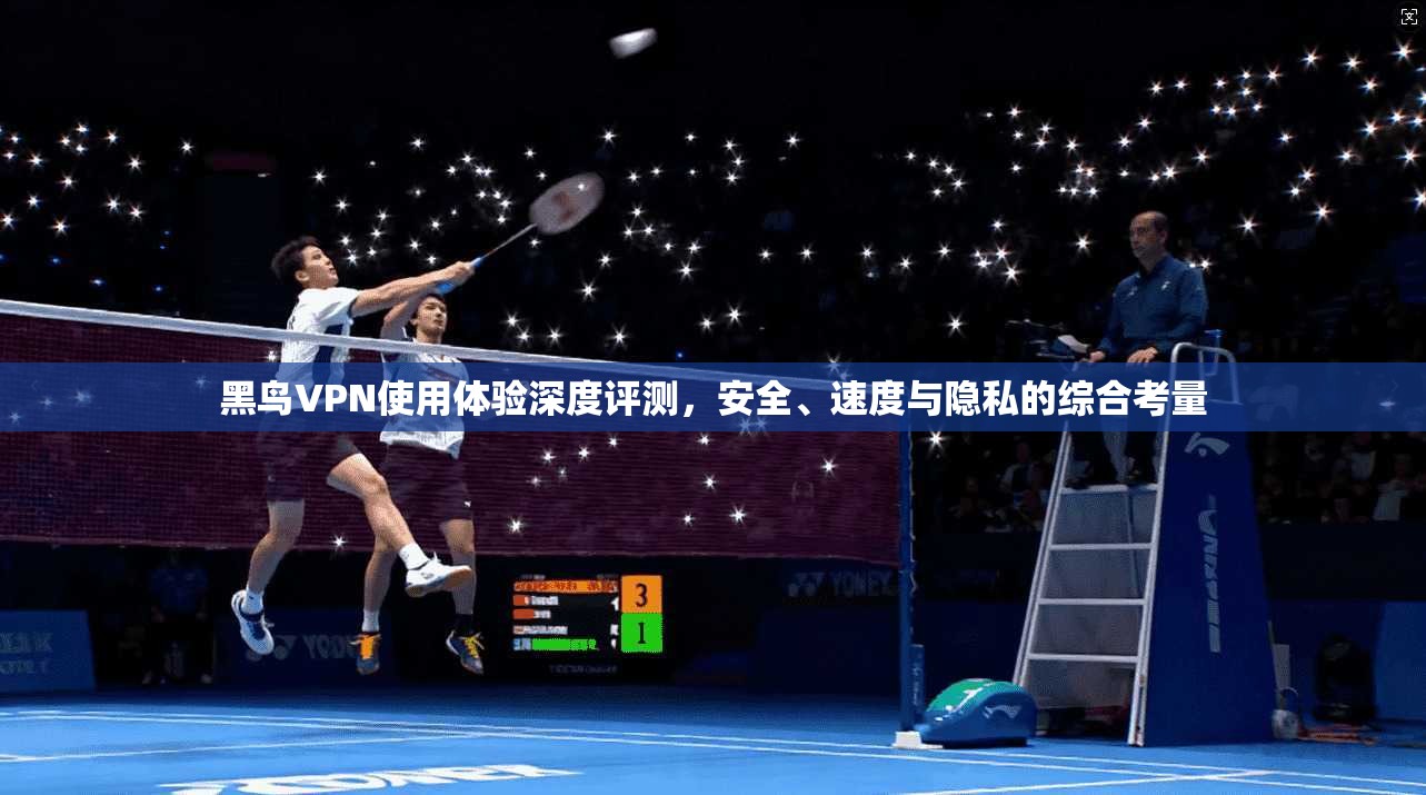 黑鸟VPN使用体验深度评测，安全、速度与隐私的综合考量  第1张