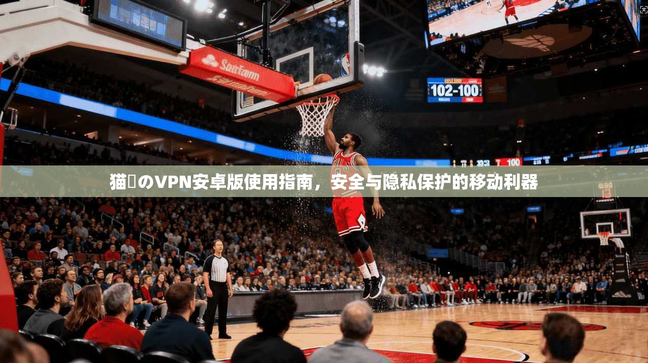猫執のVPN安卓版使用指南，安全与隐私保护的移动利器