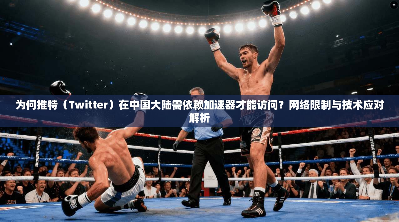 为何推特（Twitter）在中国大陆需依赖加速器才能访问？网络限制与技术应对解析  第1张