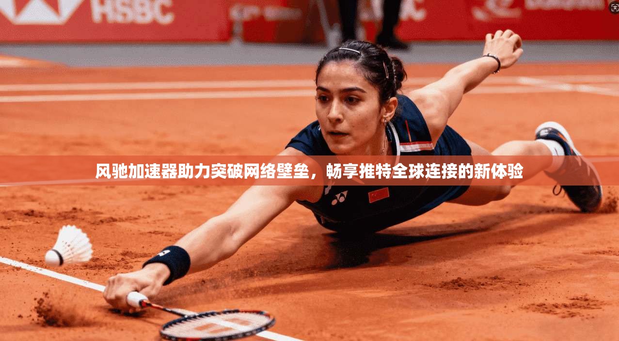 风驰加速器助力突破网络壁垒，畅享推特全球连接的新体验