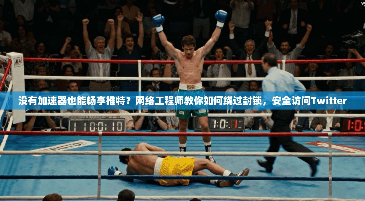 没有加速器也能畅享推特？网络工程师教你如何绕过封锁，安全访问Twitter