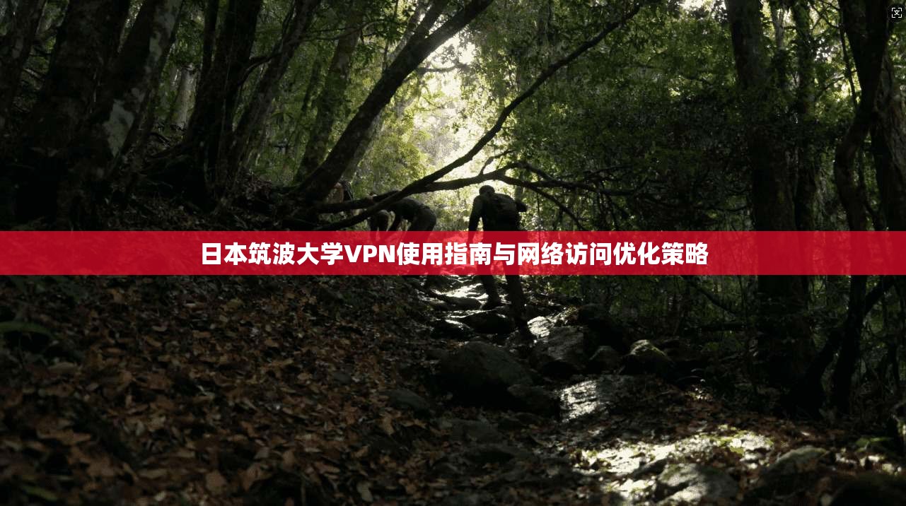 日本筑波大学VPN使用指南与网络访问优化策略
